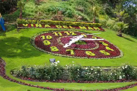 5. Relógio de Flores