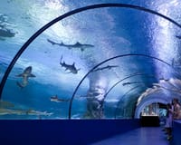 Antalya Aquarium in Antalya