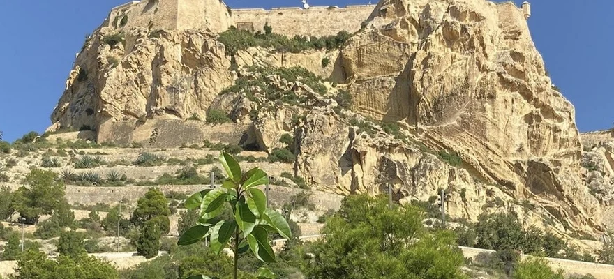 Santa Bárbara Castle