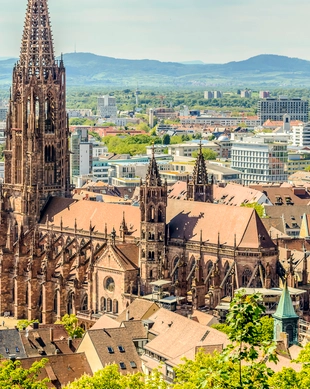 Freiburger Münster