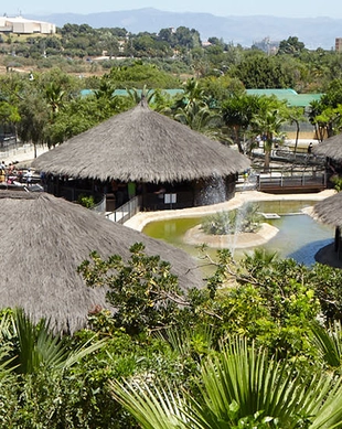 Crocodile Park, Torremolinos