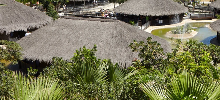 Parque Cocodrilos