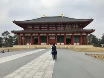 T Dai Ji Nara Book Tickets Tours Getyourguide