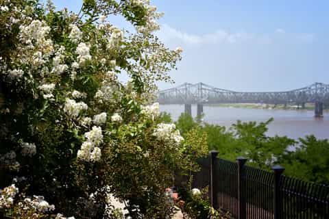 The BEST Natchez Tours and Things to Do in 2026 - GetYourGuide