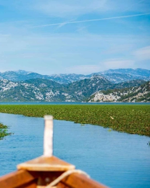 Parque Nacional Lago Skadar