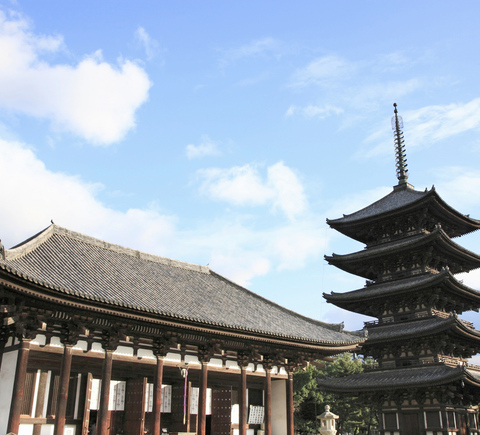 Travelers recommend