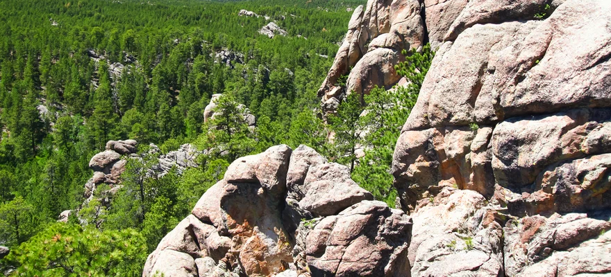 Národný les Black Hills