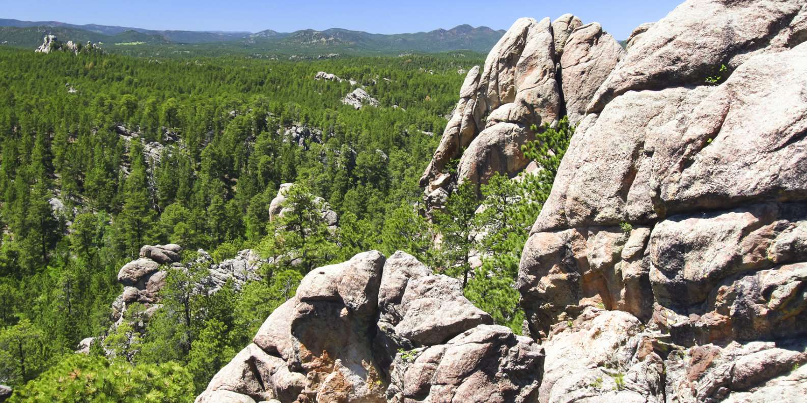 Black Hills National Forest  Book Tickets & Tours |