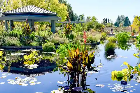 7. Denver Botanic Gardens
