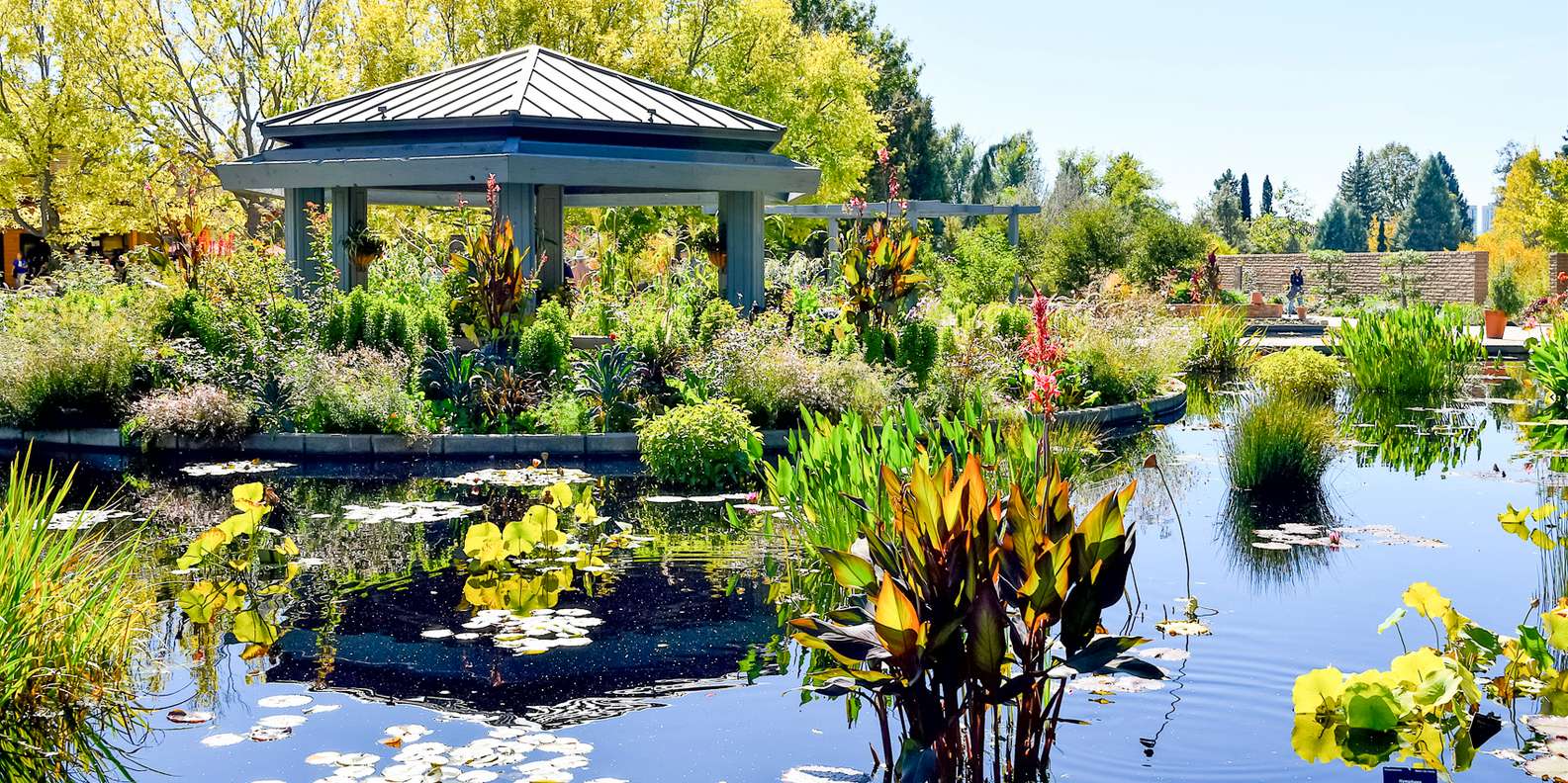 BEDSTE Denver Botanic Gardens For Rsaktiviteter 2024 GRATIS   99 