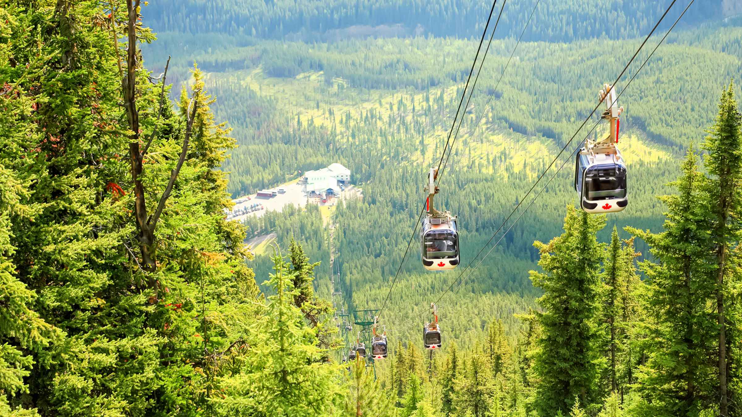 Banff Gondola, Banff Book Tickets & Tours GetYourGuide