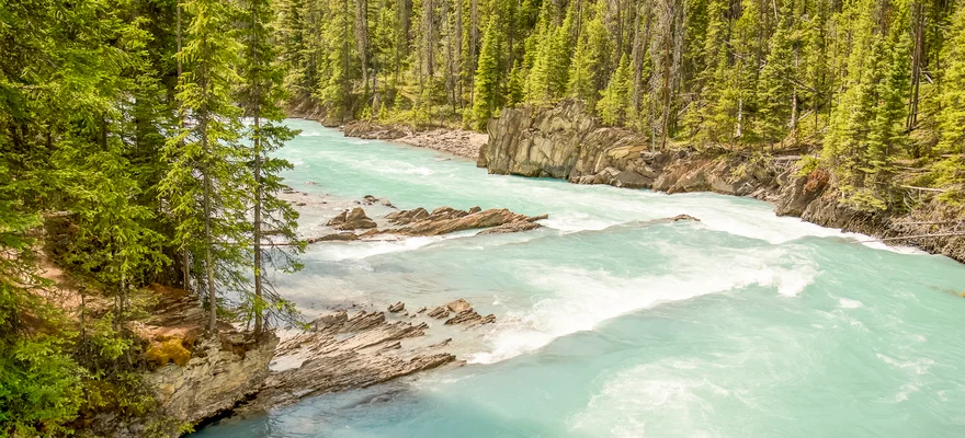 Kicking Horse River