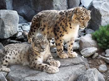 Leipzig Zoological Garden Tours & Tickets