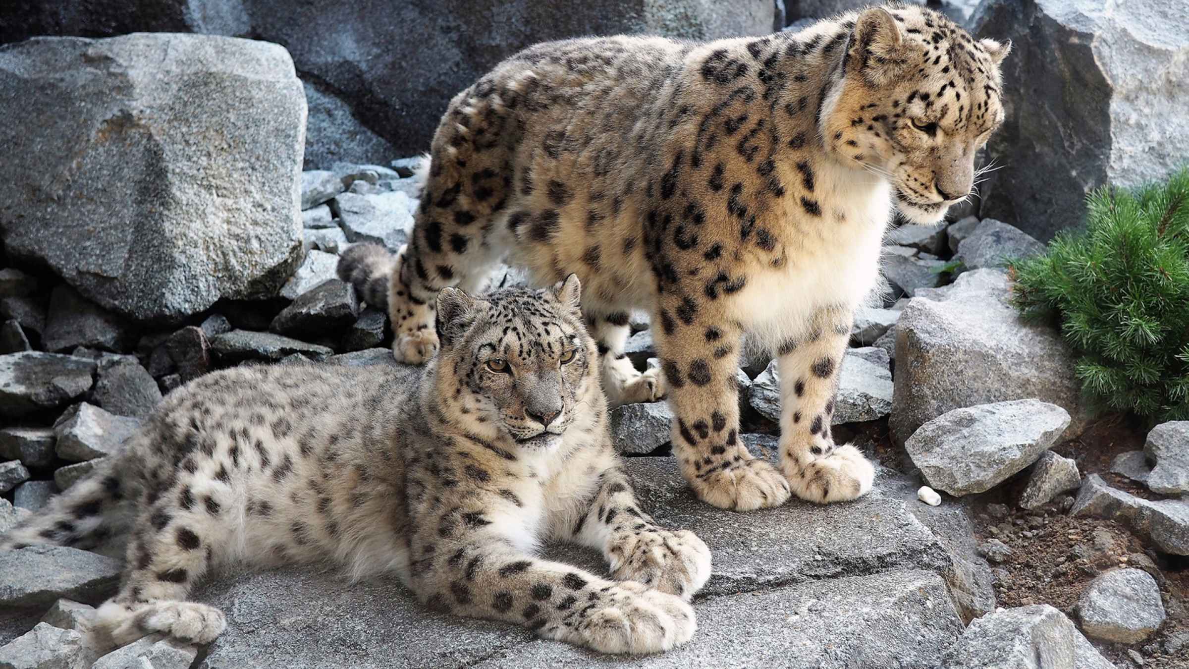 Natur &amp; Abenteuer Zoologischer Garten Leipzig GetYourGuide