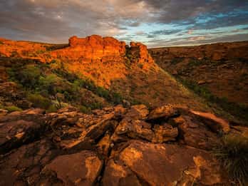 Oak Creek Canyon Tours & Tickets