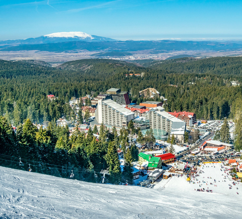 Travelers recommend