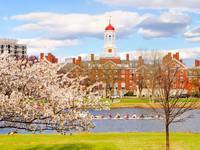 Harvard Yard