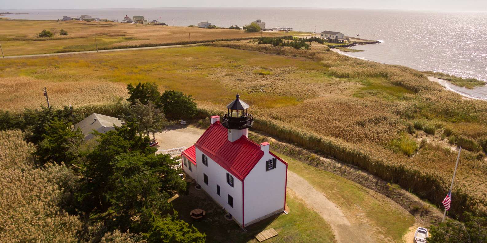 whale watching tours delaware