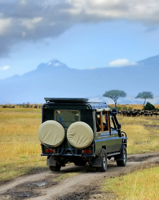 Parque Nacional de Serengeti