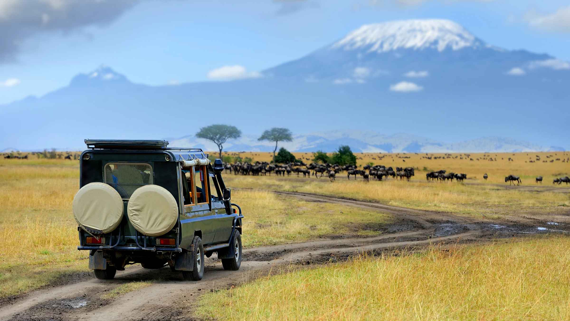 BESTE Serengeti nasjonalpark Solnedgangsturer 2022 - GRATIS