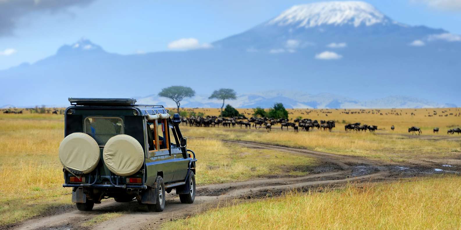 Conserving Tanzania: A luxury venture into the Serengeti