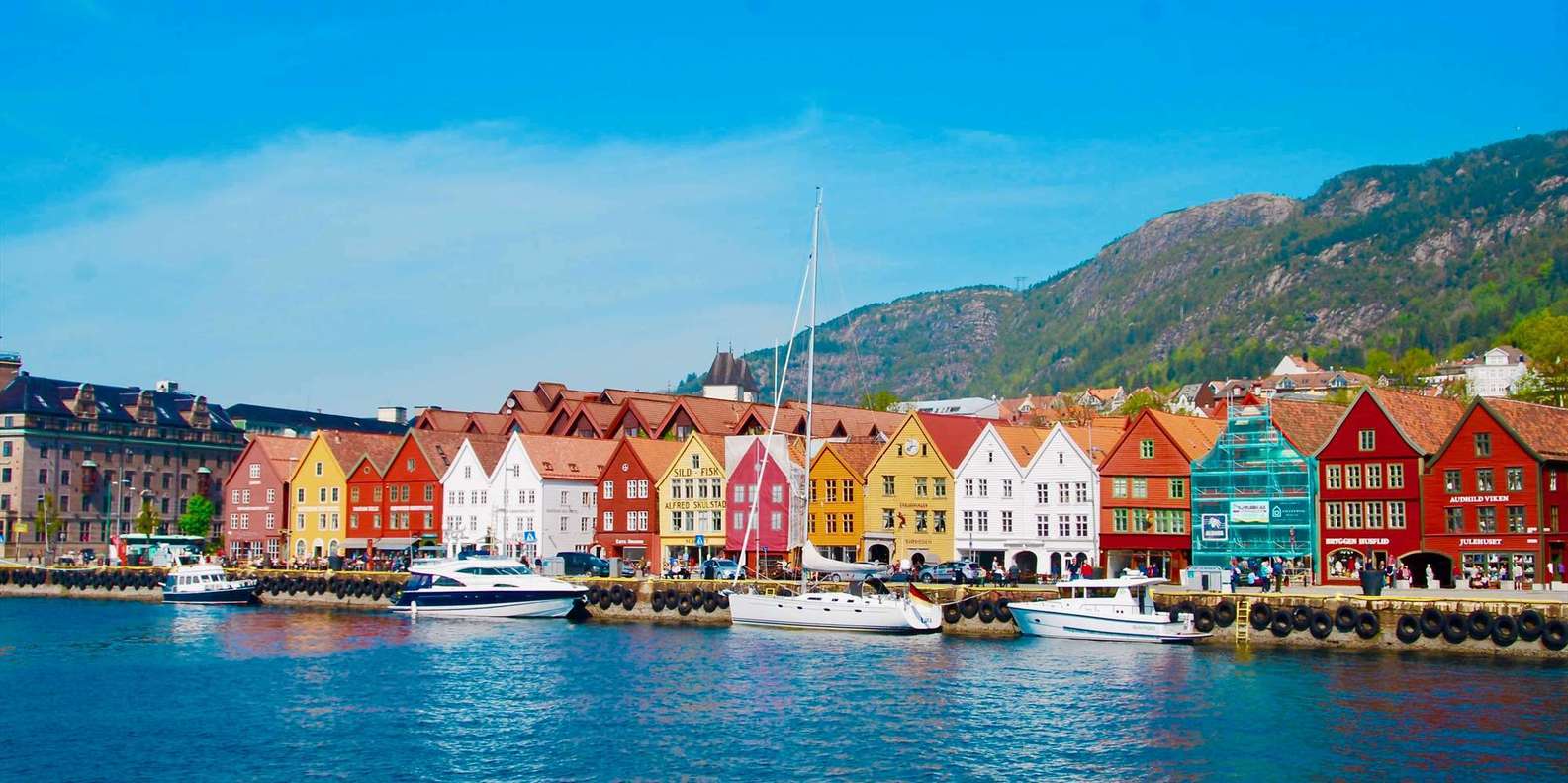 BESTE Natur Und Abenteuer Tyske Brygge 2023 KOSTENLOS Stornierbar GetYourGuide