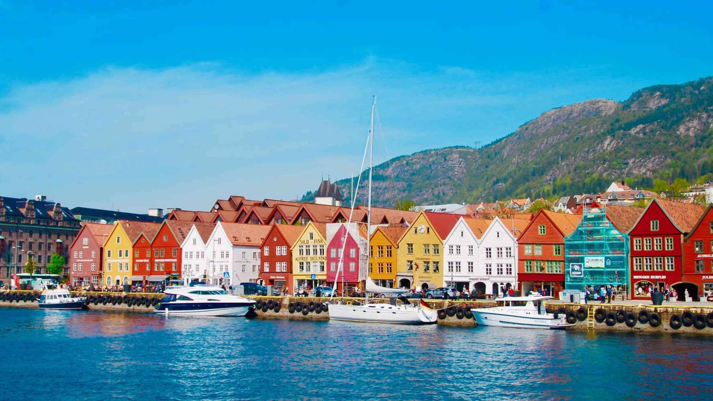 Bryggen Fjords | GetYourGuide