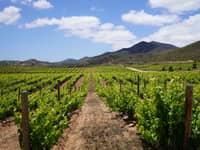 The BEST Things to Do in Ensenada - Top Activities in 2024 GetYourGuide