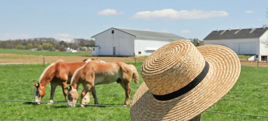 Amish Experience