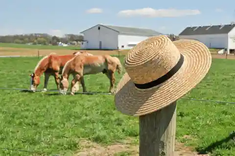 5. Amish Experience
