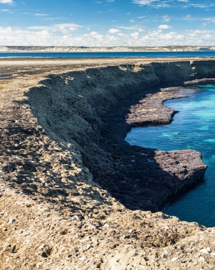 Valdes Peninsula