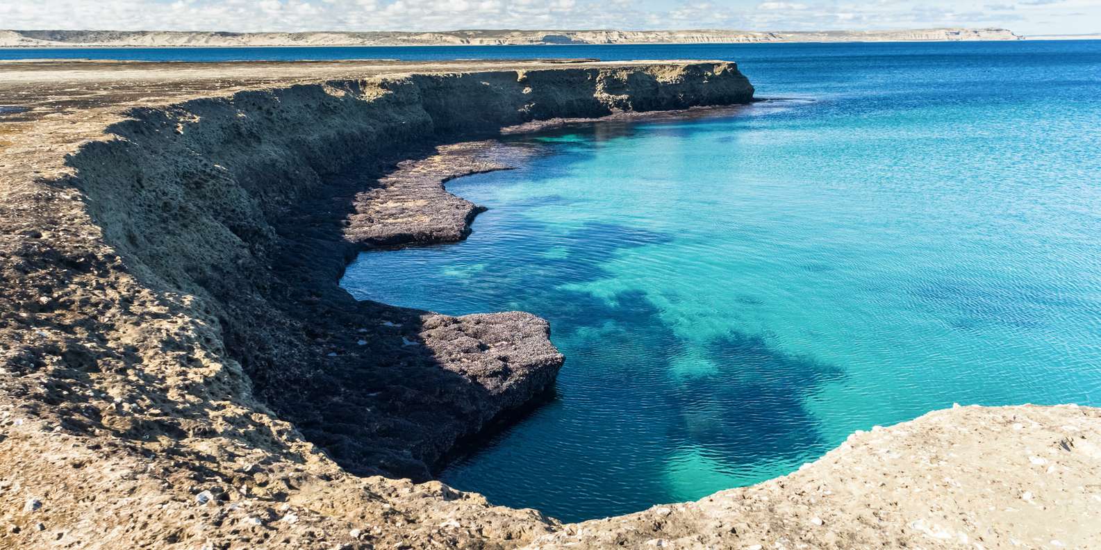 Tagesausflüge von Valdés (Halbinsel) GetYourGuide