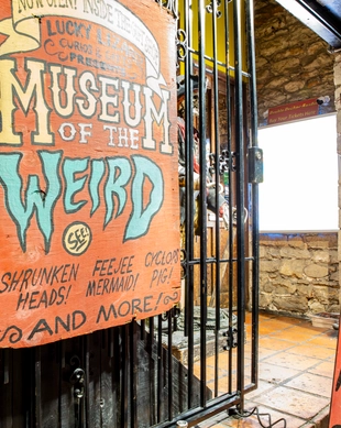 Museum of the Weird