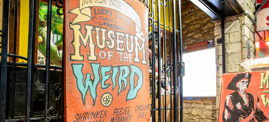 Museum of the Weird