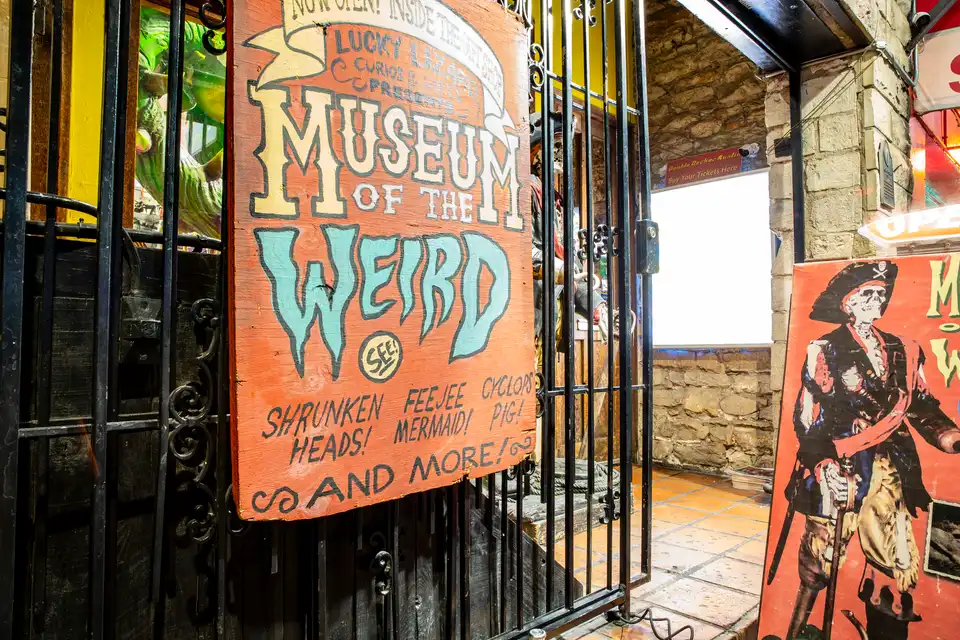 Austin: Family-friendly activities