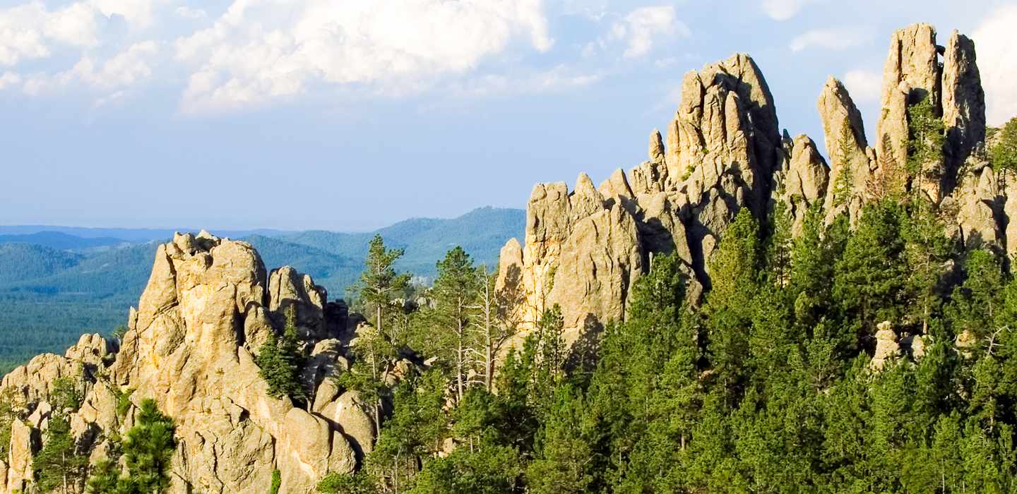 Tagesausflüge von Black Hills GetYourGuide