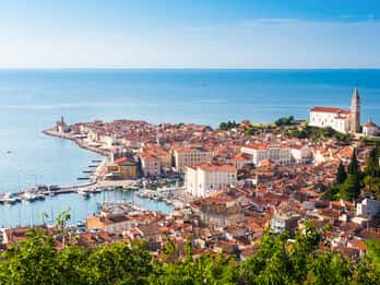 Piran Tours & Tickets