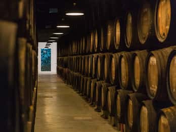 Vila Nova de Gaia Tours & Tickets