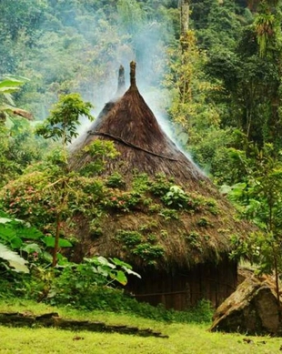 The Lost City