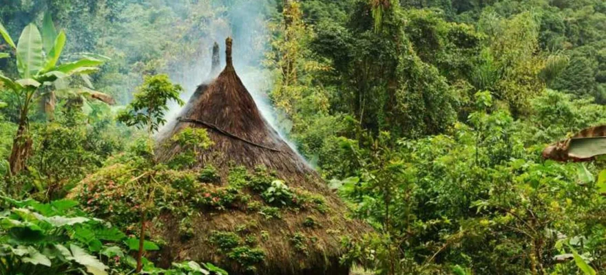 The Lost City