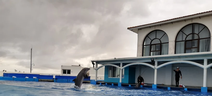 Acuario de Veracruz