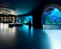 Istanbul Aquarium in Istanboel