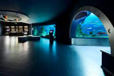 10. Стамбульский аквариум