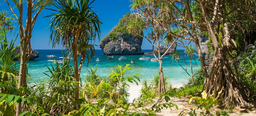 Phi Phi Leh