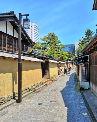 武家屋敷跡 野村家