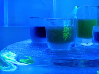 Icebar Amsterdam Tours & Tickets