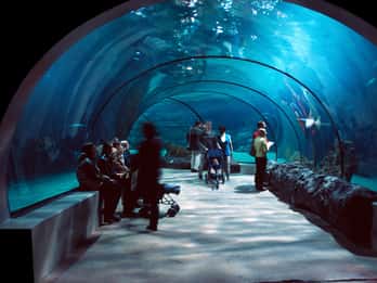 Aquarium du Québec Tours & Tickets