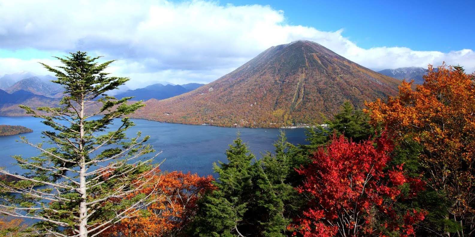 The BEST Nikkō National Park Temples & shrines 2023 - FREE Cancellation ...
