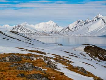 Svalbard Turer og Billetter