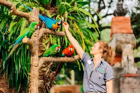 5. ZooTampa at Lowry Park